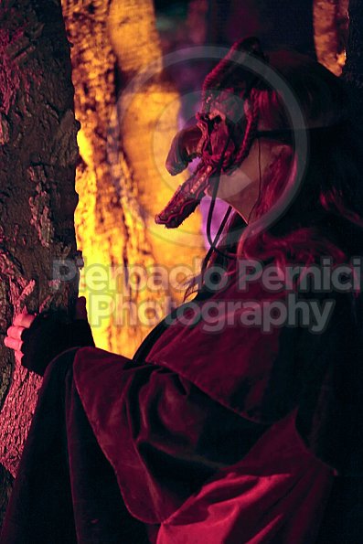 _MG_0796