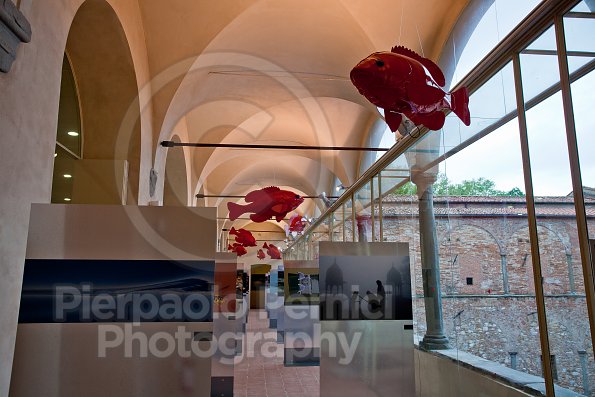 Allestimento_SMS-63